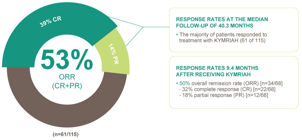 Overall response rate and duration of response graphic